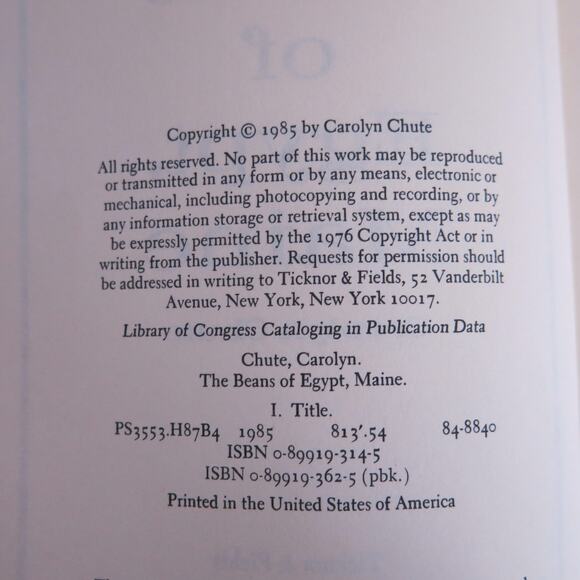 THE BEANS of EGYPT MAINE Paperback Book Carolyn Chute 1985 Fiction Read - Picture 5 of 7